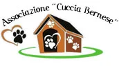 Cuccia Bernese