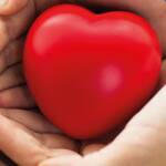 Fiumicino celebra i Donatori Benemeriti: una giornata di riconoscimento per la solidarietà